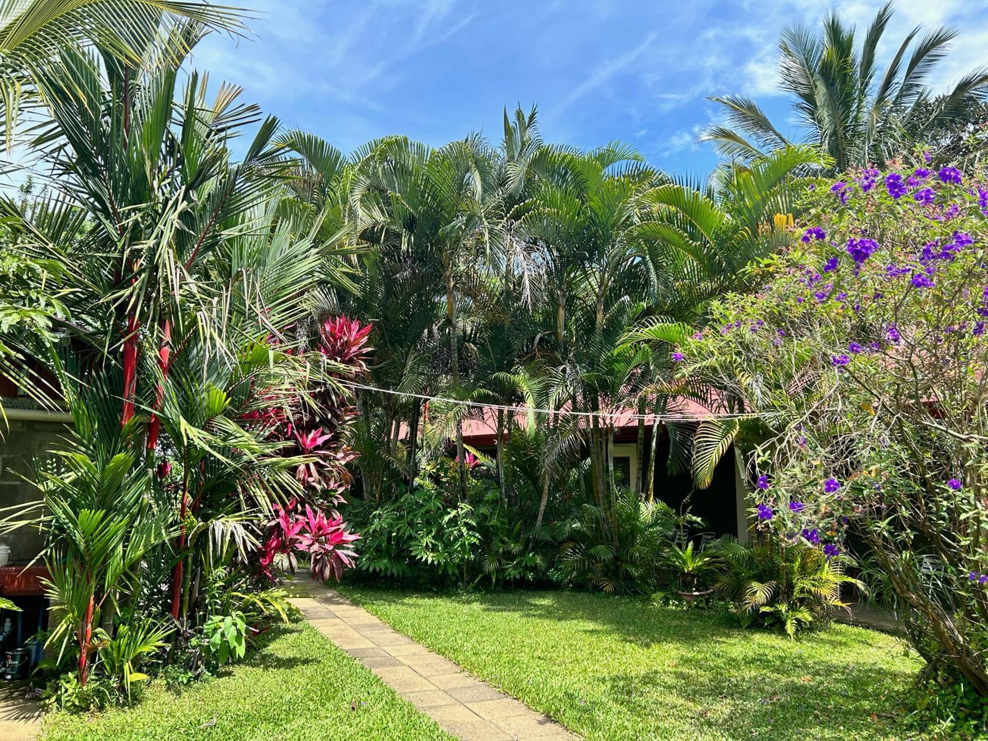 B&B Garden غريسيا المظهر الخارجي الصورة
