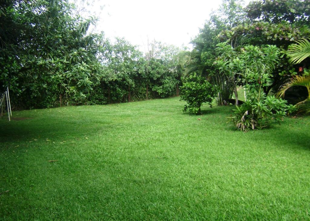 B&B Garden غريسيا الغرفة الصورة