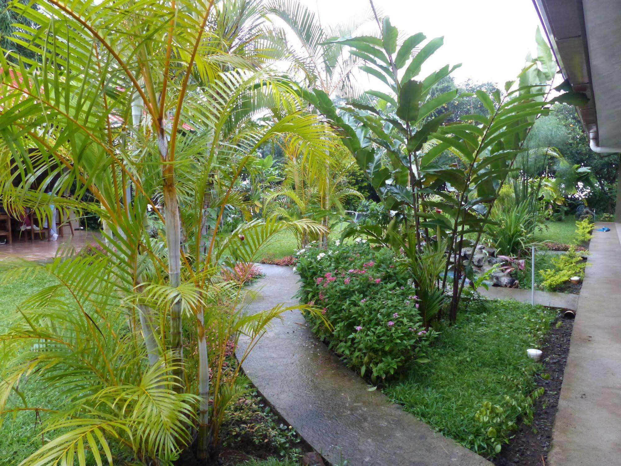 B&B Garden غريسيا المظهر الخارجي الصورة